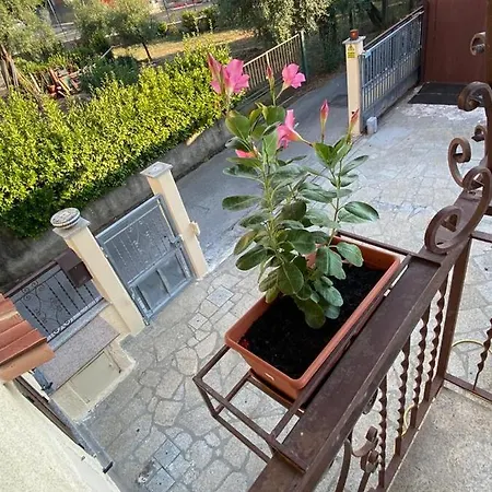 Apartment Casa Alfonso *